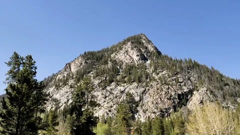 Drive plate-POV-Side view-look up passing pine trees rugged mountain Stock Footage 76627706