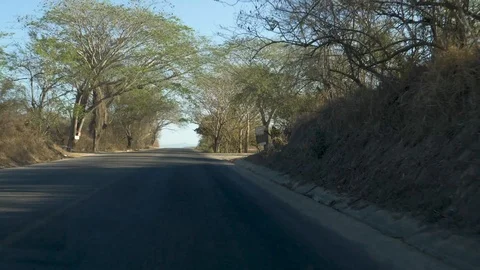 Drive Plate-Tree lined Highway Puerto Vallarta to San Sebastian-POV Video stock 106941728