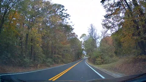 Drive in Savannah, TN Stock Footage 293267475