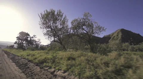 Drive-by scenery wide-angle low shot Stock Footage 33544775