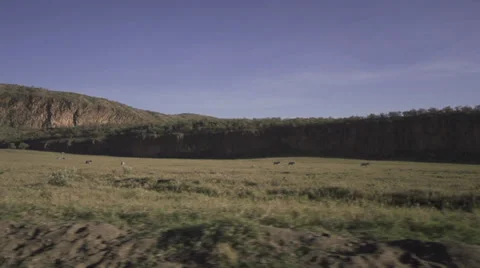 Drive-by scenery wide-angle shot of savanna Stock Footage 33544118