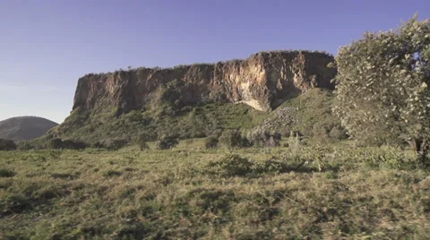 Drive-by scenery wide-angle shot of savanna Stock Footage 33544293