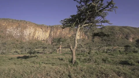 Drive-by scenery wide-angle shot Stock Footage 33544435