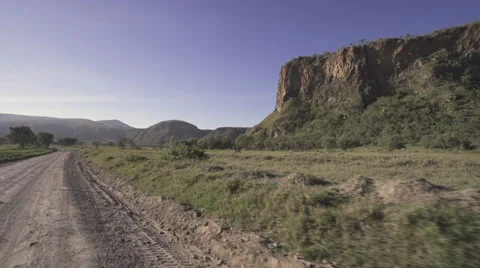 Drive-by scenery wide-angle shot of savanna Stock Footage 33544914