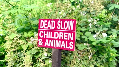 Drive slowly beware of children and animals public red and white road sign Stock Footage 337407465