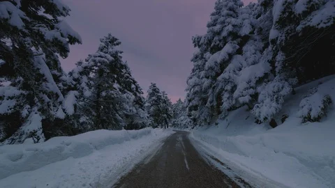 Drive on snow covered mountain forest landscape at dusk or dawn Stock Footage 101756281