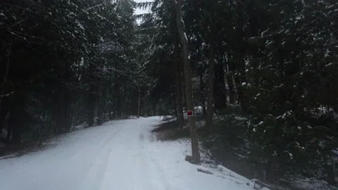 Drive Up Snowy Forest Road Through Snow Covered Forest To Last Home On Road Stock Footage 162237110