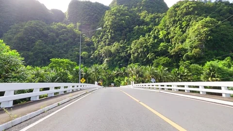 Drive through bridge road to lush green palm tree, rain-forest n mountains Stock Footage 157764172