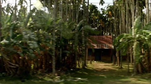 Drive through Cambodian Jungle Video stock 74192045