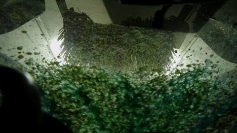 Drive through car wash drivers POV soap coating windshield Stock Footage 285822128