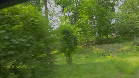 Drive Through A Country Road Vidéo 243062653