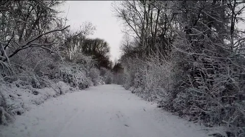 Drive through the first snowfall in the forest - HD stock video Stock Footage 83315467