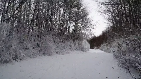 Drive through the first snowfall in the forest - HD stock video Stock Footage 83315471