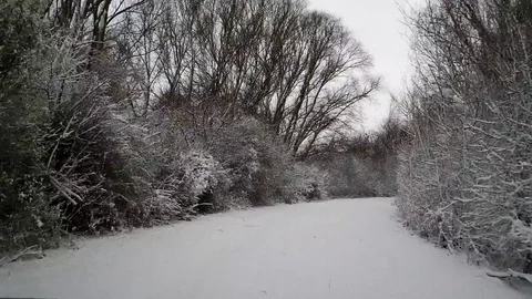 Drive through the first snowfall in the forest - HD stock video Stock Footage 83315473
