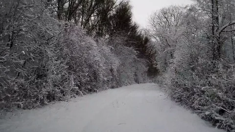 Drive through the first snowfall in the forest - HD stock video Stock Footage 83315476