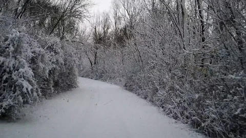 Drive through the first snowfall in the forest - HD stock video Stock Footage 83315478