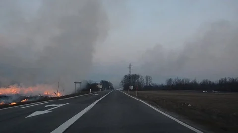 Drive through flames and smoke. Dry grass burns on meadow in countryside Stock Footage 103811607