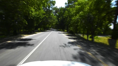 Drive through the forest 動画素材 62403637