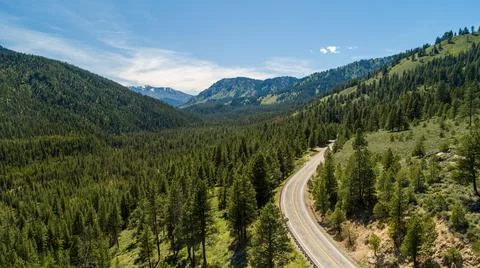Drive through the forest on a nice day Stock Photos