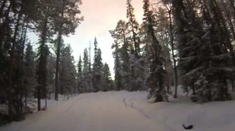 Drive through Lapland forest 스톡 동영상 37207250
