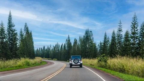Drive through lush pine forests on the way to North Shore, Oahu, Hawaii Stock Photos