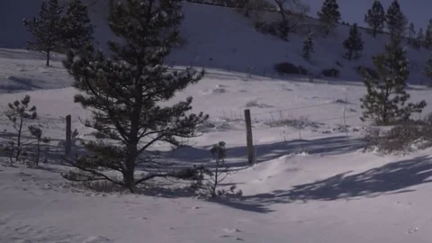 Drive Through Mountains POV Side Window Handheld Shot Stock Footage 72879251