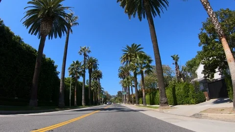 Drive through the Palm tree Alleys of Beverly Hills - LOS ANGELES. USA - MARCH Stock Footage
