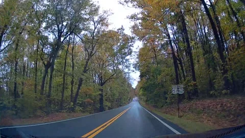 Drive through Savannah, TN Video stock 293262118