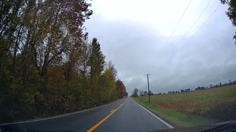 Drive through Savannah, TN Stock Footage 293262145