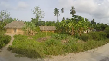 Drive through Stone town Stock Footage 85665997