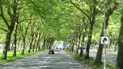 Drive by through trees in Amsterdam Stock Footage 65935791