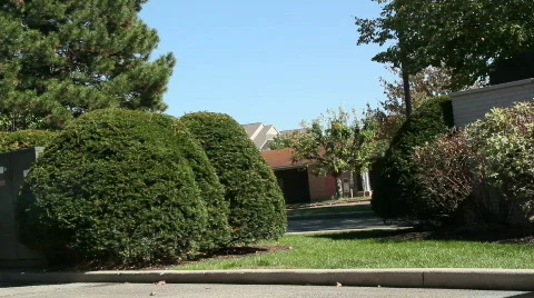 Drive thru 動画素材 872466