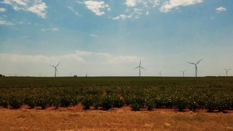 Drive By TX Multiple Wind Turbines 2 Stock Footage 114989532