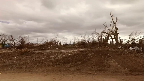 Drive-By View of Hurricane Dorian Aftermath Across Grand Bahama Settlements Stock Footage 118205176