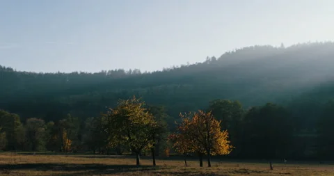 Drive by view outside a car window sun flare landscape backlit Stock Footage 153492580