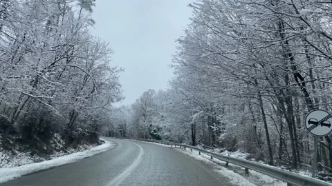 Drive in winter forest Video stock 236822540