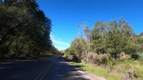 DrivePlate: Cloudcroft, New Mexico 스톡 동영상 255806203