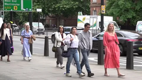 Driver of a 4×4 that crashed into a Wimbledon primary school arrives at court Video stock 337028154