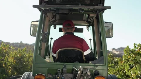 Driver in the cab of an agricultural tractor driving between rows 動画素材 270061452
