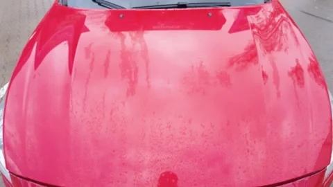 Driver Closing Red Car Hood After Engine Inspection During Routine Maintenance Stock Footage 339026142