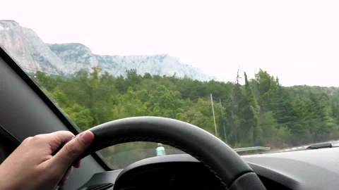 Driver controls modern car along highway across forest against mountains Stock Footage 259459810