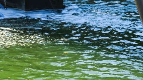 The driver digs the ground with a dredger Video stock 331206864