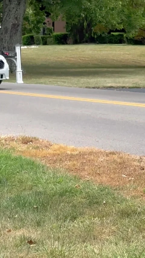 Driver Doesn't Stop For School Bus, Finds Waiting Cop, Bellefonte, Kentucky, USA Stock Footage 317561029