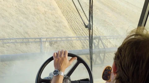 A driver drives combine harvester through a field. A view from inside the Stock-Footage 124646061
