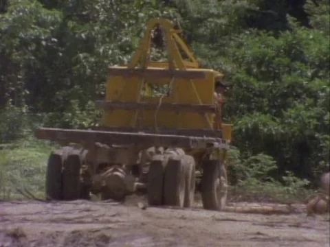 Driver driving truck in reverse Stock Footage 79950335