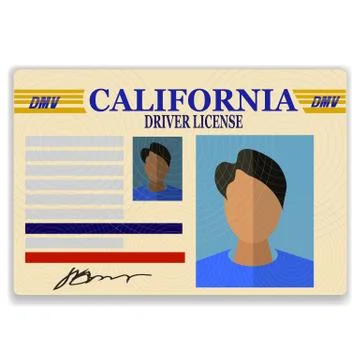 Driver License Illustrazione stock