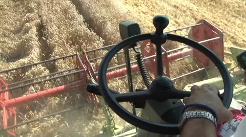 Driver operates the combine Stock-Footage 54613506
