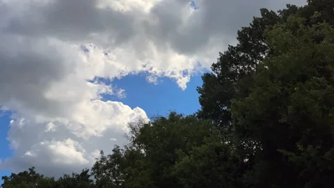 Driver point of view of green trees against blue sky with white clouds Stock Footage 326010865