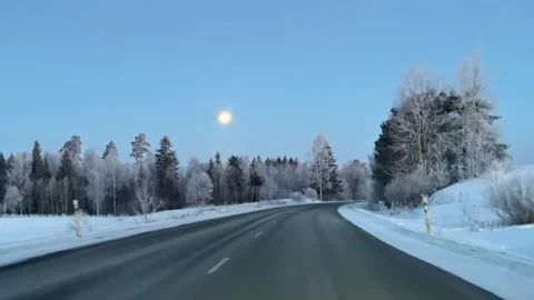 Driver POV on empty Latvian winter highway lined with hoarfrost-covered birch 動画素材 334125427