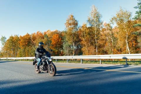 Driver riding motorcycle on empty road in beautiful autumn forest. Stock Photos